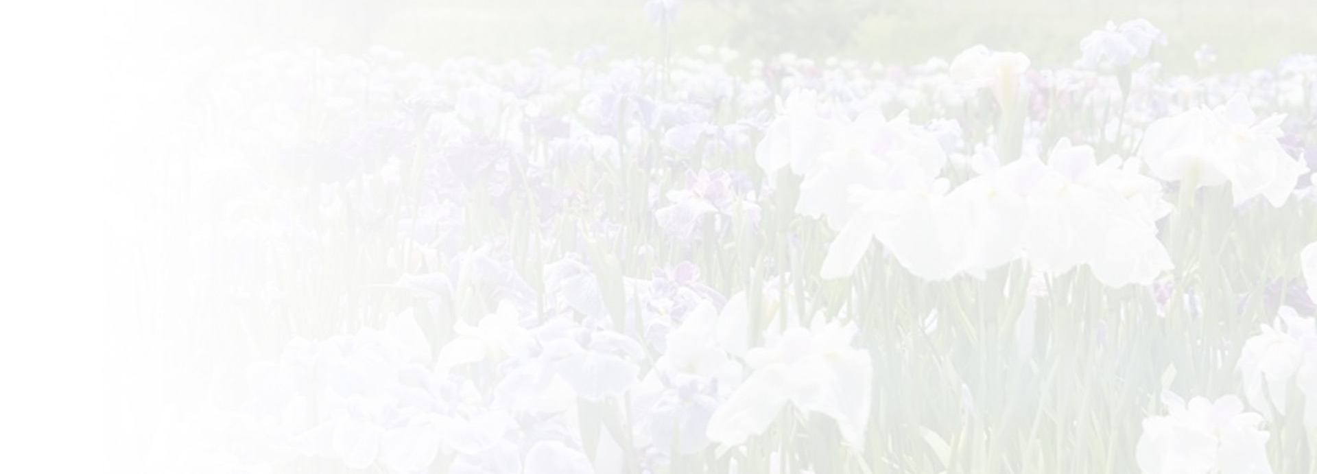 bg gioi thieu 2